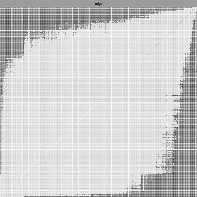 Abstract Image