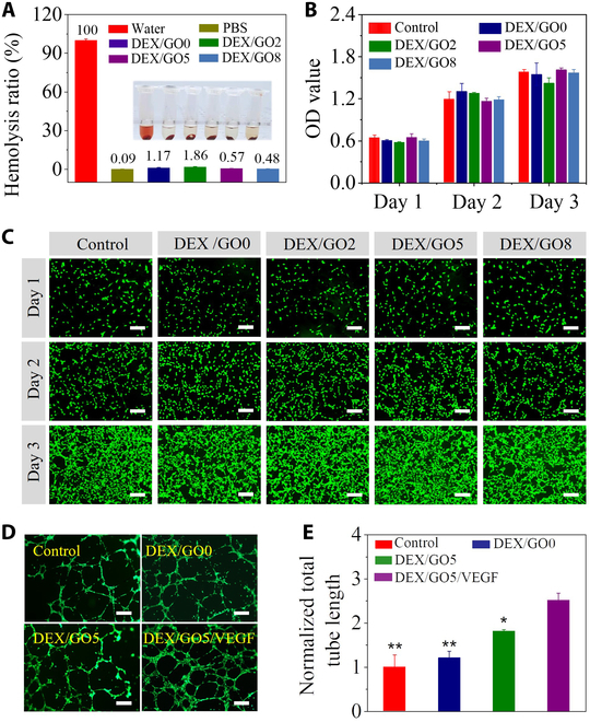Erratum to "Multifunctional GO Hybrid Hydrogel Scaffolds for Wound Healing".