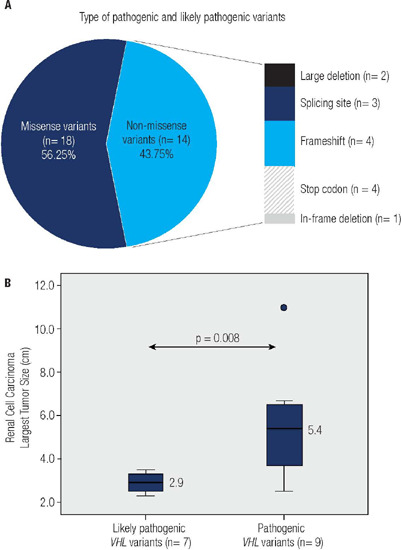 Pathogenicity of germline VHL variants is associated with renal cell carcinoma size in von Hippel-Lindau disease.