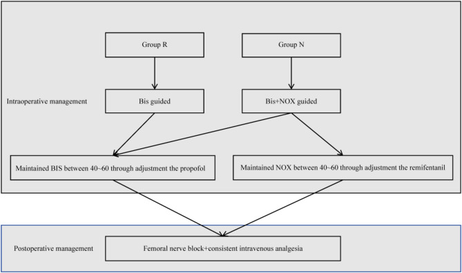 Influence of Intraoperative Pain Management on Postoperative Delirium in Elderly Patients: A Prospective Single-Center Randomized Controlled Trial.