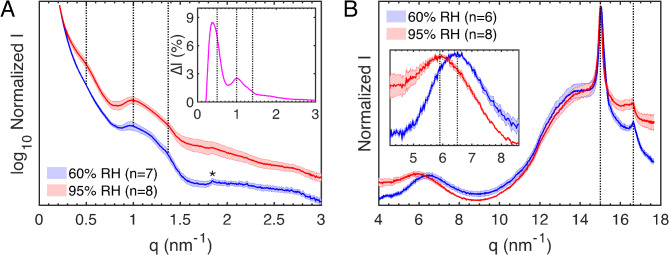Niacinamide and its impact on stratum corneum hydration and structure.