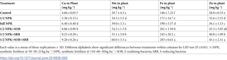 Redox cycling of sulfur via microbes in soil boosts the bioavailability of nutrients to Brassica napus.