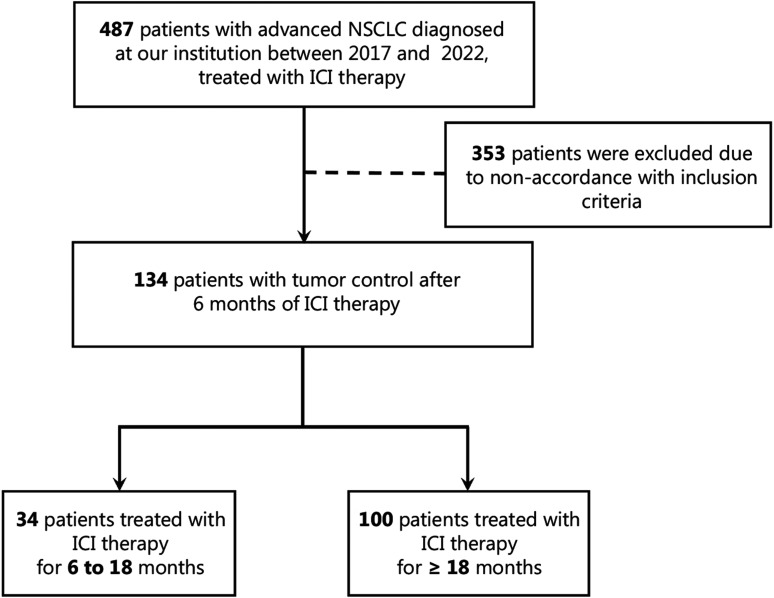 Optimal immunotherapy duration in advanced NSCLC: defining the ideal treatment window.