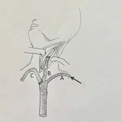 Abstract Image