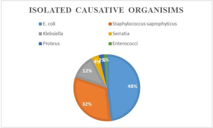 Incidence of extended spectrum beta-lactamase (ESBL) producing <i>Escherichia coli</i> isolated from women with urinary tract infections in Jordan.