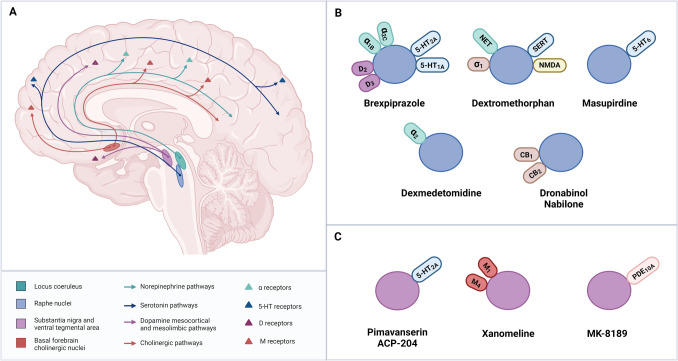 Emerging Pharmacological Approaches for Psychosis and Agitation in Alzheimer's Disease.