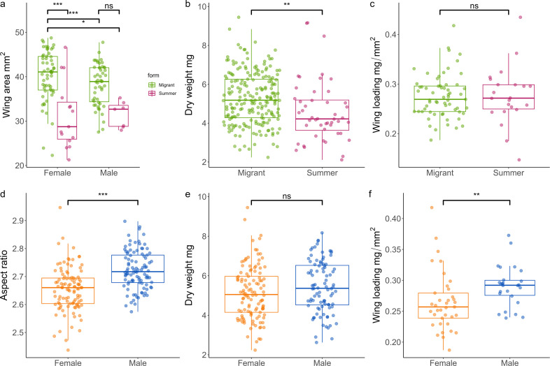Multiple factors contribute to female dominance in migratory bioflows.
