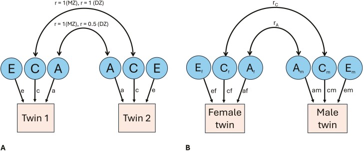 Genetic and environmental contributions to the development of dental arch traits: a longitudinal twin study.