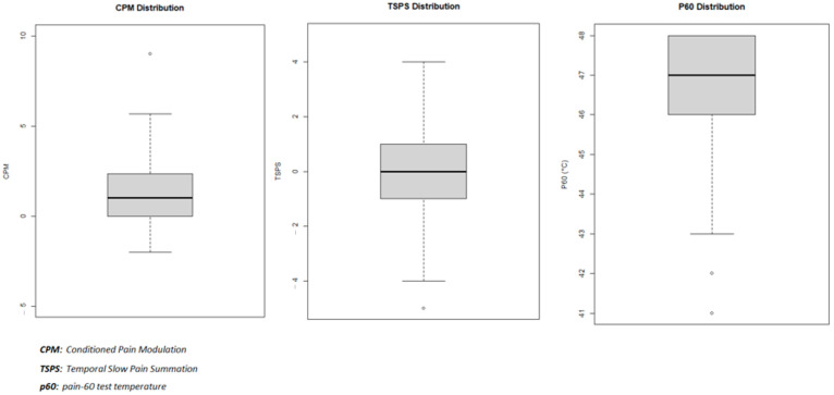 The Association of Pain Medication Usage and Quantitative Sensory Testing Outcomes in Fibromyalgia Patients: A Secondary Data Analysis.