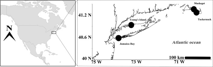 Spatial and temporal predictability drive foraging movements of coastal birds.