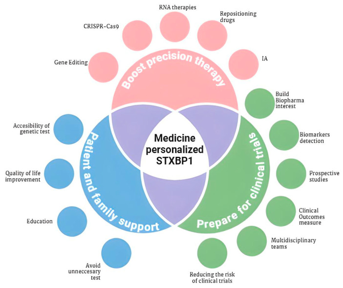 STXBP1 Syndrome: Biotechnological Advances, Challenges, and Perspectives in Gene Therapy, Experimental Models, and Translational Research.