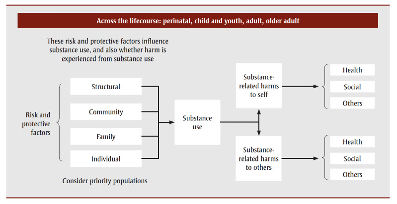 A conceptual framework for the public health monitoring of substance-related harms.