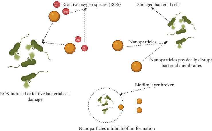 Green Nanotechnology: Naturally Sourced Nanoparticles as Antibiofilm and Antivirulence Agents Against Infectious Diseases.