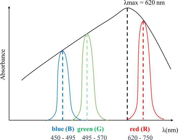 LIGHt-based rapid detection of starch in tobacco leaves by smartphone sensing.