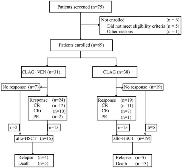 Venetoclax added to CLAG regimen might improve the outcome of patients with relapsed/refractory acute myeloid leukemia.