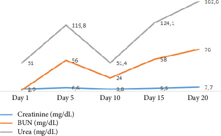 Overlap Syndrome in Late-Onset Systemic Lupus Erythematosus With Lupus Nephritis and MPO-ANCA Pauci-Immune Glomerulonephritis and Tuberculosis: An Uncommon Association.