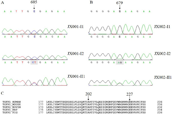 Identification of TGFBR1 Gene Variants in Two Chinese Pedigrees with Loeys-Dietz Syndrome.