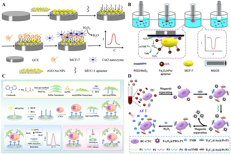 Nanozyme-based aptasensors for the detection of tumor biomarkers.