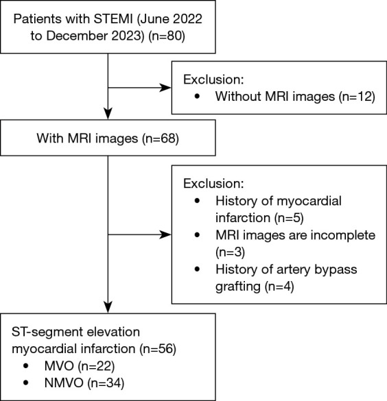 Epicardial fat volume assessment and strain analysis by cardiac magnetic resonance: a novel method for evaluating microcirculation dysfunction after myocardial infarction.
