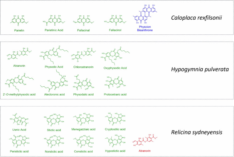 An expanded database of high-resolution MS/MS spectra for lichen-derived natural products.