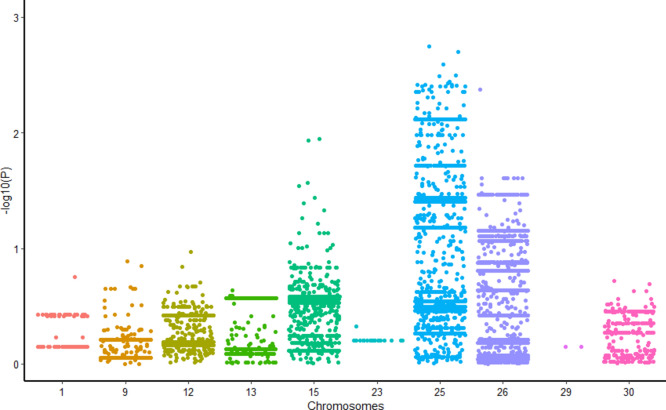 A lethal disease of the European bison - posthitis is conditionally determined by its genomics.