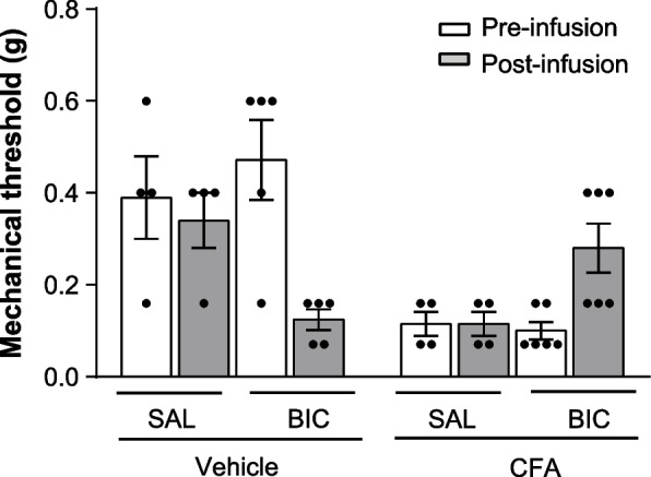 A type-5 metabotropic glutamate receptor-perineuronal net axis shapes the function of cortical GABAergic interneurons in chronic pain.