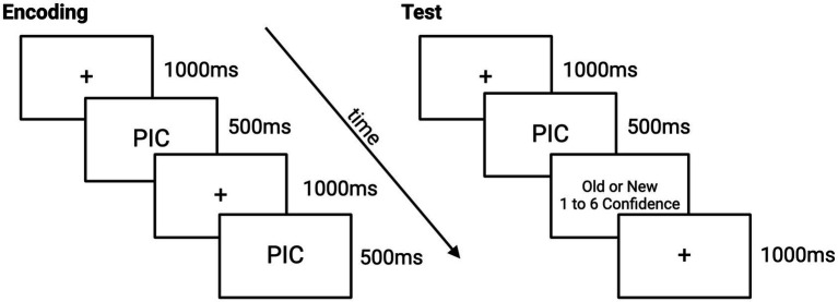 Vagal heart rate variability during rapid eye movement sleep reduces negative memory bias.