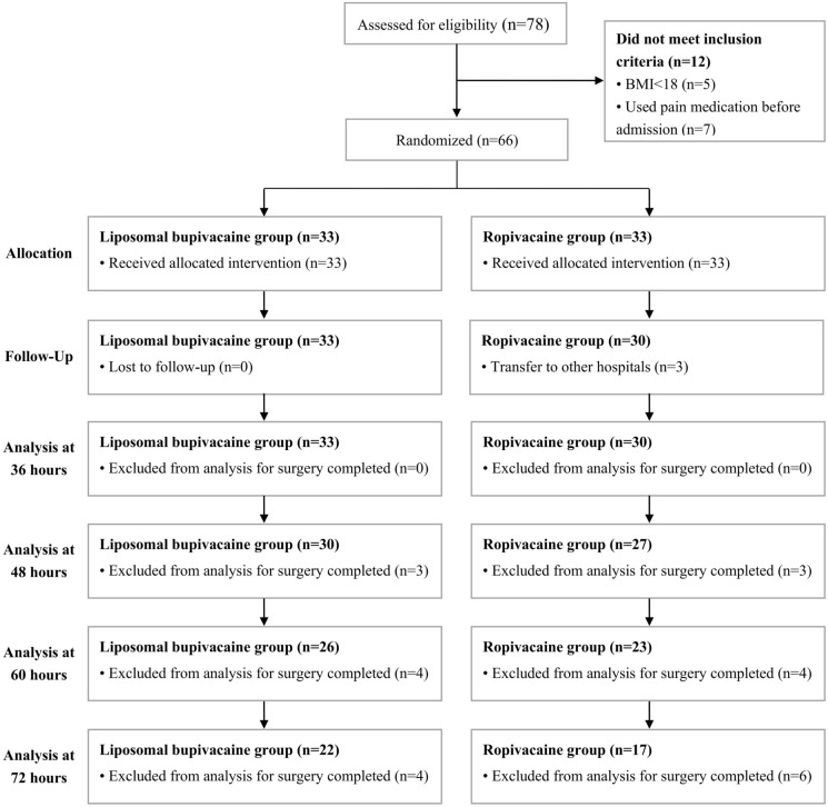 Preoperative Analgesia Efficacy of Liposomal Bupivacaine Following Pericapsular Nerve Group (PENG) Block in Patients with Hip Fracture: A Randomized Controlled Observer-Blinded Study.