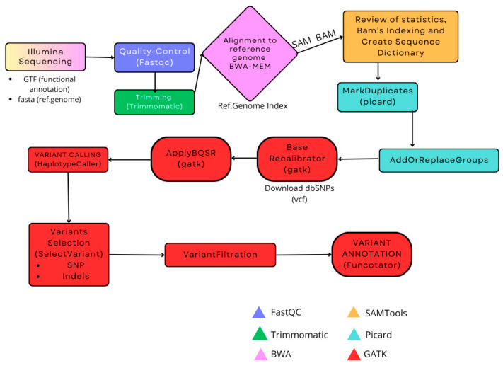 STXBP1 Syndrome: Biotechnological Advances, Challenges, and Perspectives in Gene Therapy, Experimental Models, and Translational Research.
