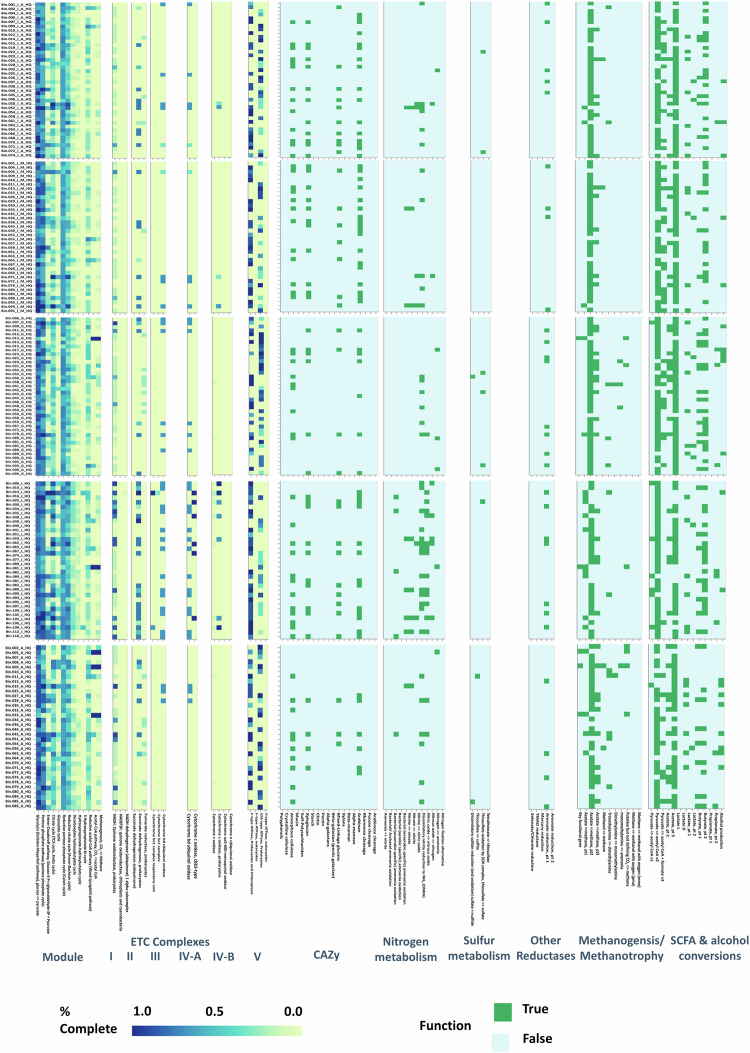 Representative Metagenomes of Mesophilic Biogas Reactor Across South Korea.