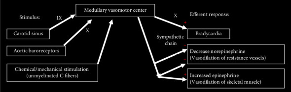 The Bezold-Jarisch Reflex Following an Endoscopic Endonasal Resection of an Intraosseous Clival Myxoma: A Case Report.