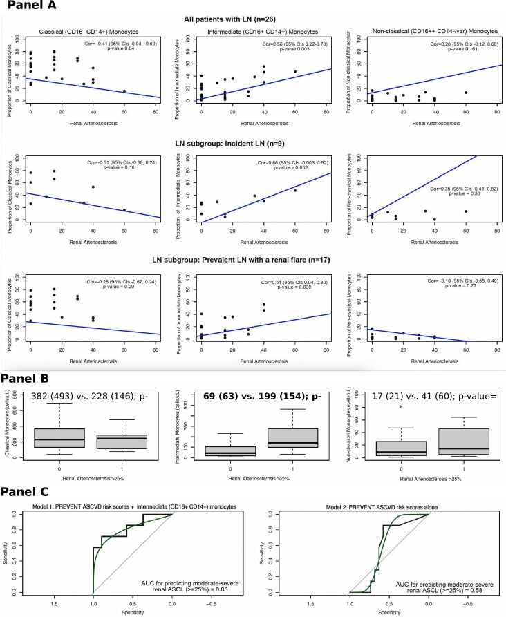 Intermediate monocytes in blood correlate with subclinical vascular changes in lupus nephritis.
