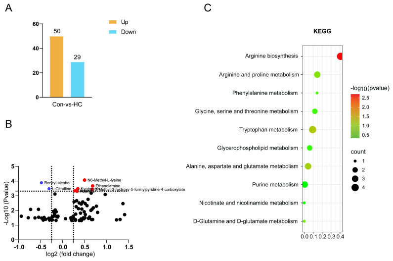 Benzyl alcohol improves Ang II-induced vascular and renal injury.