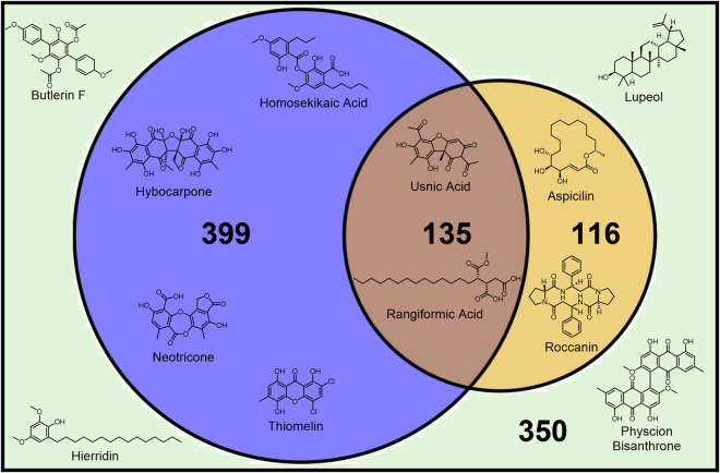 An expanded database of high-resolution MS/MS spectra for lichen-derived natural products.