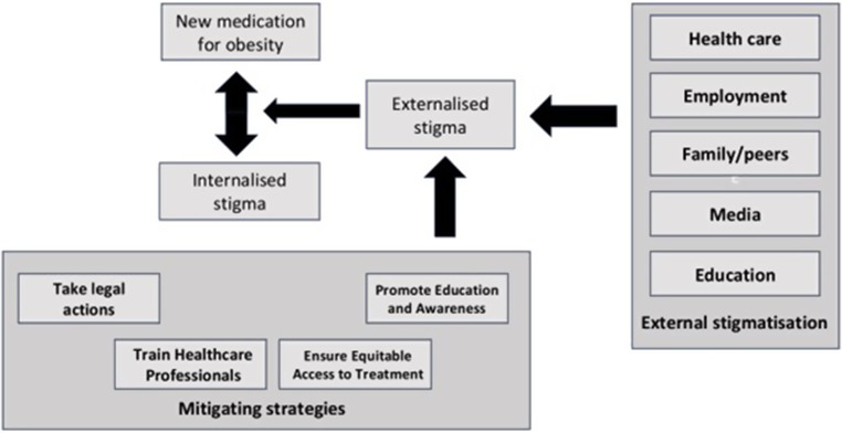 The Impact of Novel Medications for Obesity on Weight Stigma and Societal Attitudes: A Narrative Review.