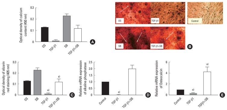 Transforming Growth Factor-β Signaling Inhibits the Osteogenic Differentiation of Mesenchymal Stem Cells via Activation of Wnt/β-Catenin Pathway.