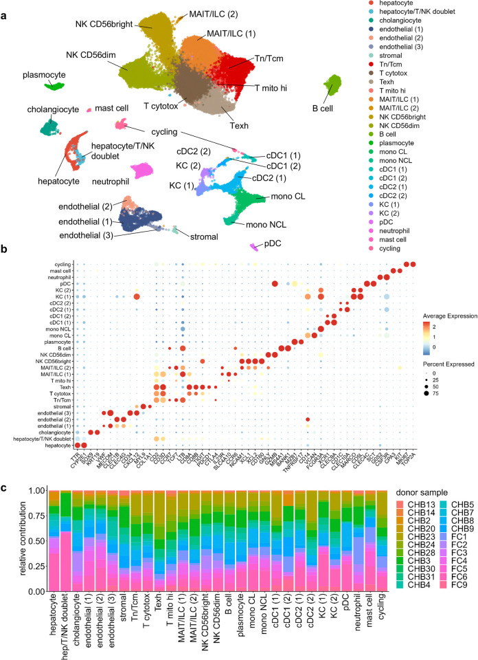 Detection of hepatitis B virus mRNA from single cell RNA sequencing data without prior knowledge.