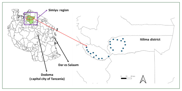 Changes in schistosomiasis prevalence after 2 years of an integrated intervention in the Itilima district of Tanzania.