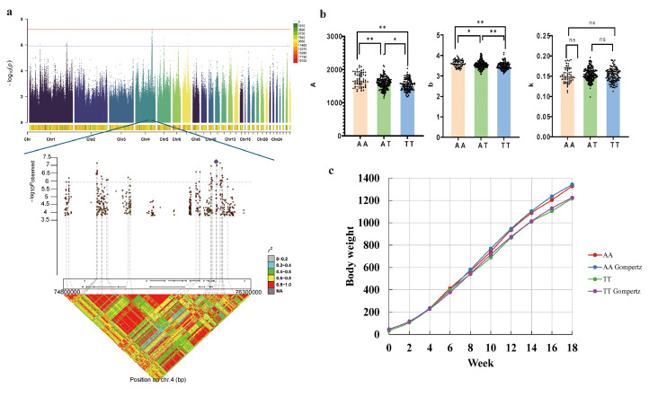 Abstract Image