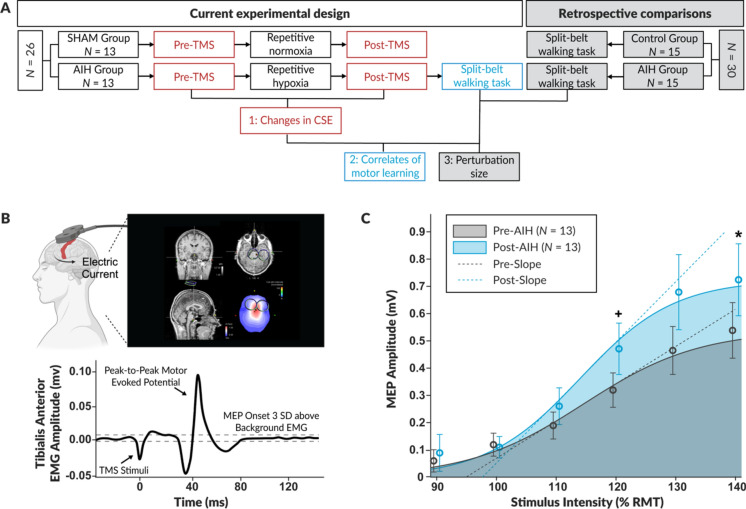 Intermittent hypoxia-induced enhancements in corticospinal excitability predict gains in motor learning and metabolic efficiency.