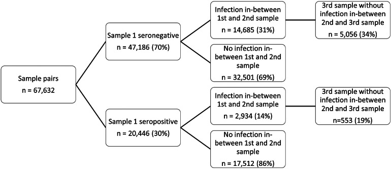 Using SARS-CoV-2 nucleoprotein antibodies to detect (re)infection.