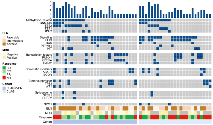 Venetoclax added to CLAG regimen might improve the outcome of patients with relapsed/refractory acute myeloid leukemia.