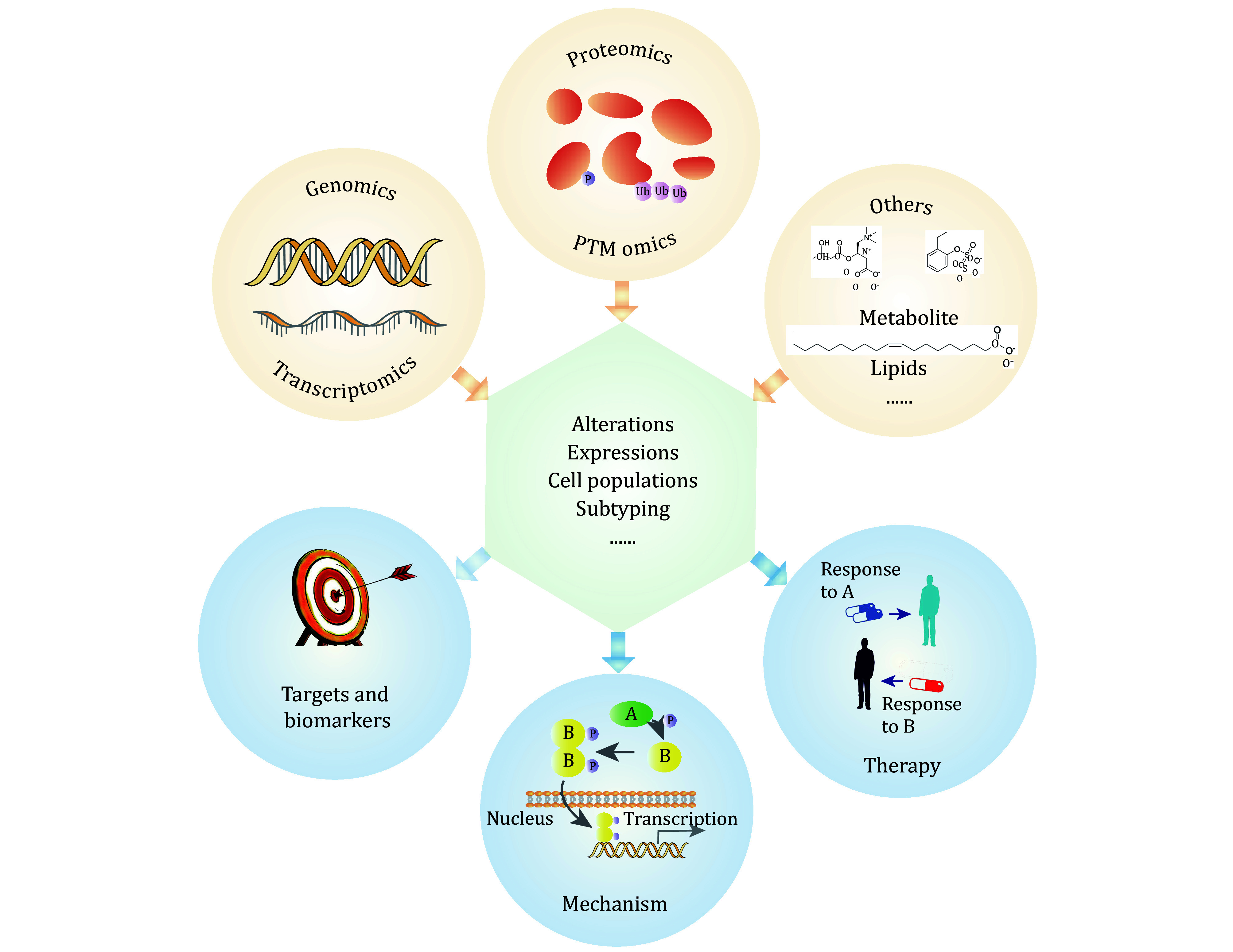Advancements in proteogenomics for preclinical targeted cancer therapy research.