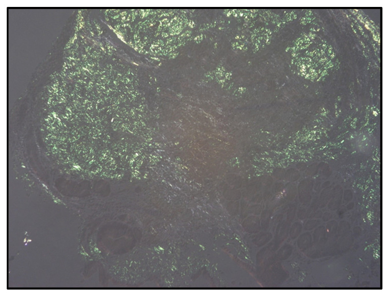 Abstract Image