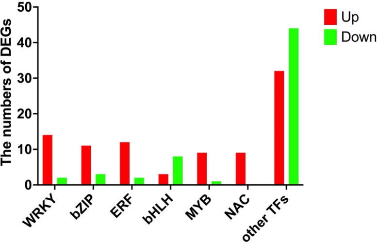 Physiological and transcriptome analysis reveals the mechanism of Gymnocarpos przewalskii response to drought stress.