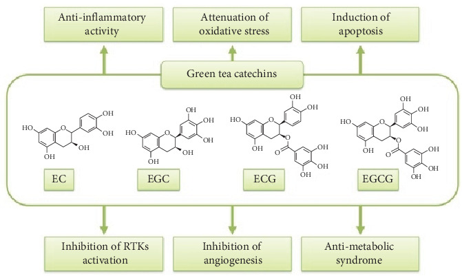 Green Nanotechnology: Naturally Sourced Nanoparticles as Antibiofilm and Antivirulence Agents Against Infectious Diseases.