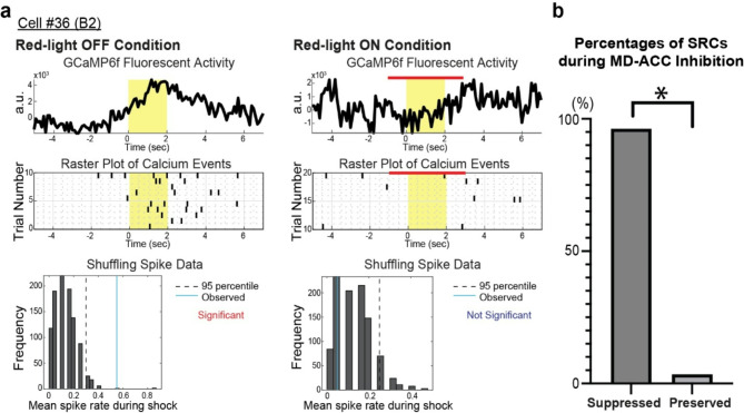Roles of mediodorsal thalamus in observational fear-related neural activity in mouse anterior cingulate cortex.