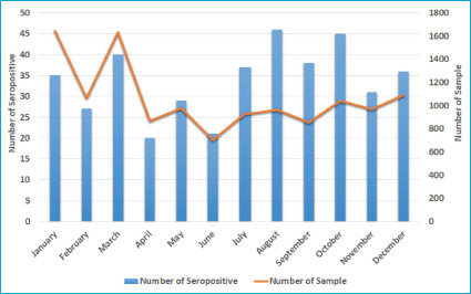 Investigation of Brucellosis Seropositivity in Hakkari Province over One Year: A Multicenter Cross-sectional Study.