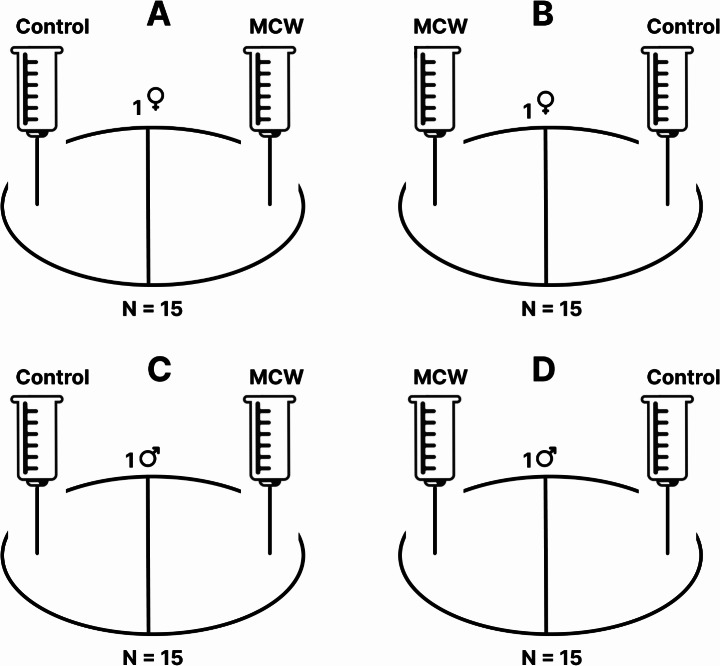 Behavioral evidence suggests the presence of a female-emitted sex pheromone in the water mite species, Arrenurus globator (O. F. Muller, 1776) (Acari: Hydrachnida; Arrenuridae).