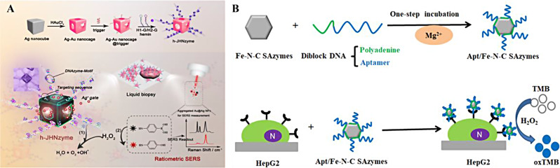 Nanozyme-based aptasensors for the detection of tumor biomarkers.